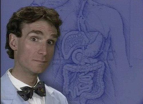 Bill Nye the Science Guy Season 1 Episode 7 - Digestion