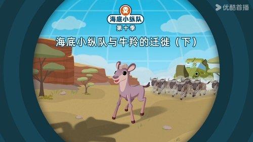 Octonauts Season 10 Episode 2 - Episode 2