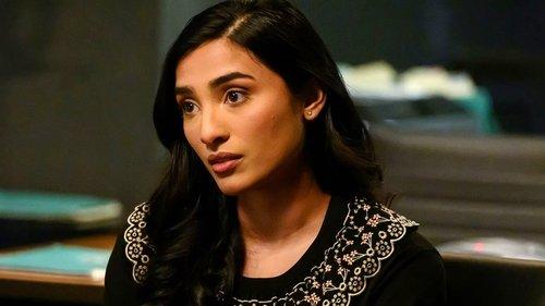 The Blacklist Season 10 Episode 5 - The Dockery Affair