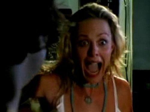 Viva La Bam Season 5 Episode 8 - Finlandia