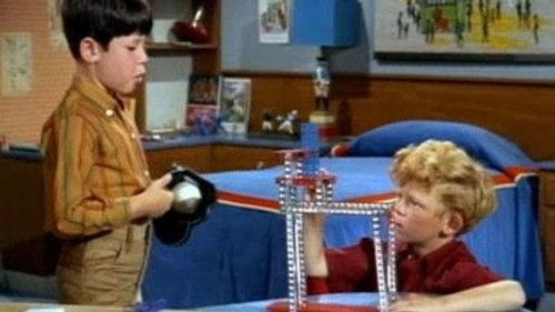 Family Affair Season 2 Episode 24 - His and Hers