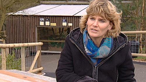 Monkey Business Season 8 Episode 4 - Episode 4