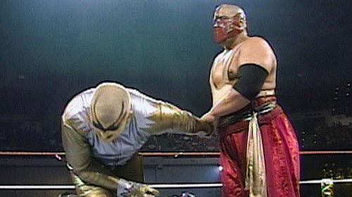 WWF Superstars Season 12 Episode 6 - Superstars - Feb 09, 1997