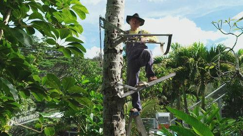 Willkommen bei den Reimanns Season 4 Episode 4 - Episode 4