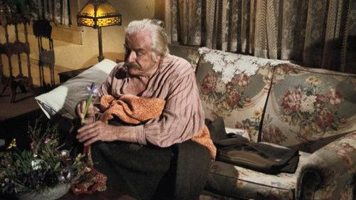 The Waltons Season 5 Episode 21 - The Long Night