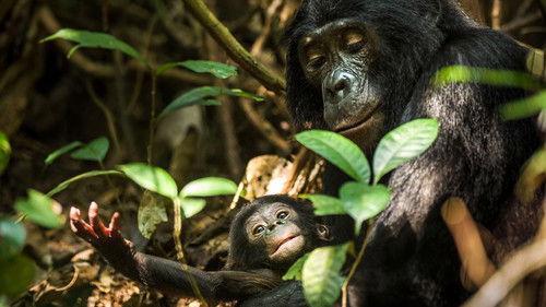 Life Story Season 1 Episode 6 - Parenthood