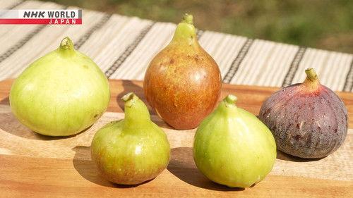 Trails to Oishii Tokyo Season 4 Episode 22 - FIG