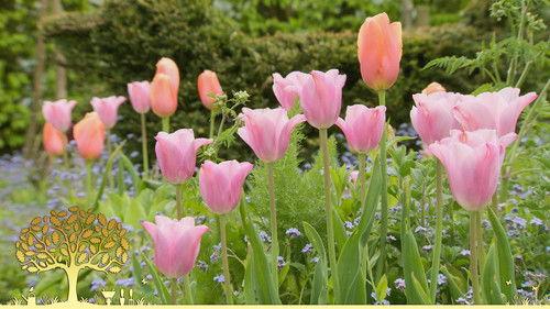 Gardeners' World Season 54 Episode 9 - Episode 9