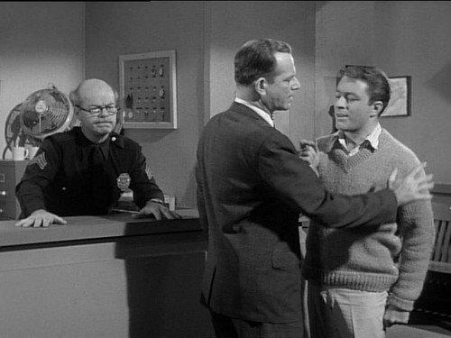 My Favorite Martian Season 2 Episode 23 - Gone But Not Forgotten