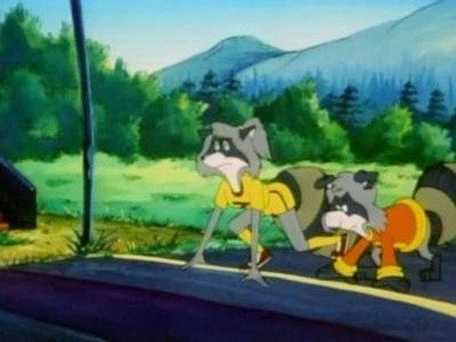 The Raccoons Season 5 Episode 13 - Go for Gold!