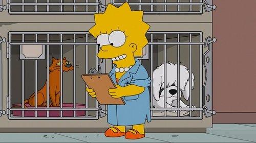 The Simpsons Season 27 Episode 15 - Lisa the Veterinarian