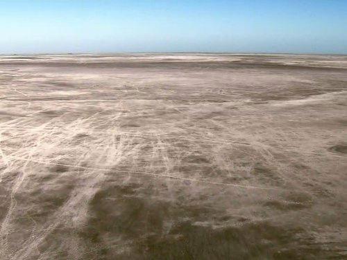 Great Migrations Season 1 Episode 5 - Race to Survive