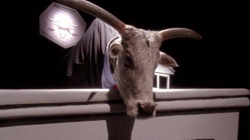 undefined Season 7 Episode 20 - Cattle Court