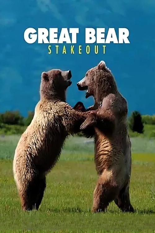Great Bear Stakeout poster
