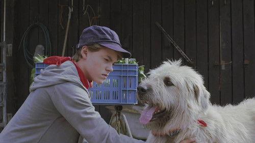 Kosmoo Season 2 Episode 4 - Episode 4