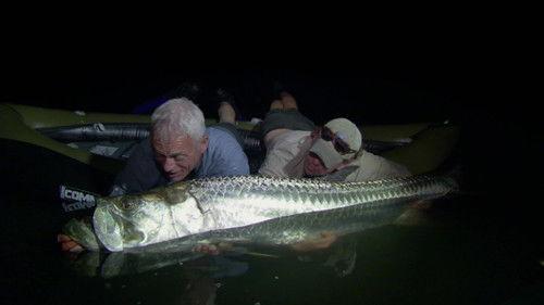 River Monsters Season 5 Episode 3 - Killer Torpedo