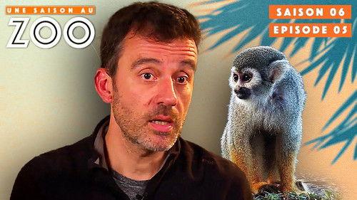 Une saison au zoo Season 6 Episode 5 - Episode 5