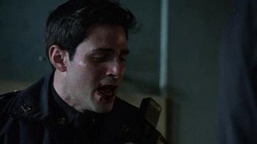 Blue Bloods Season 4 Episode 20 - Custody Battle