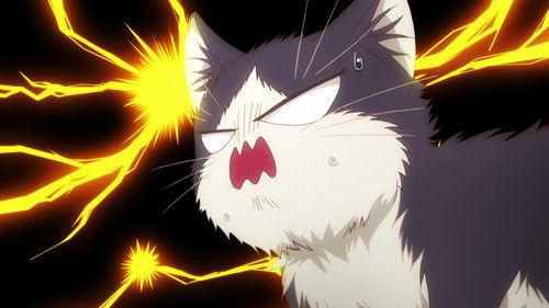 My Roommate is a Cat Season 1 Episode 3 - I Touch You