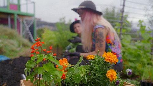Gardening Australia Junior Season 1 Episode 6 - Flower Tea Party