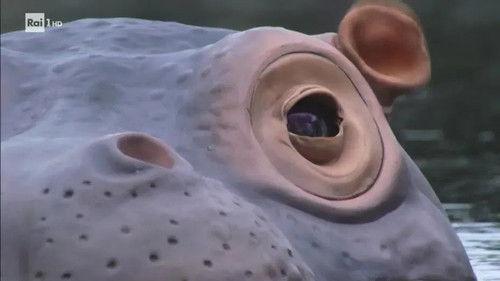 Superquark Season 24 Episode 2 - Episode 2