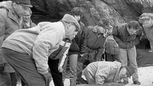 Polizeiruf 110 Season 2 Episode 4 - Der Tote im Fließ