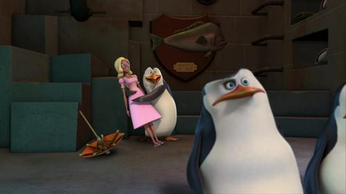 The Penguins of Madagascar Season 2 Episode 21 - Hello, Dollface