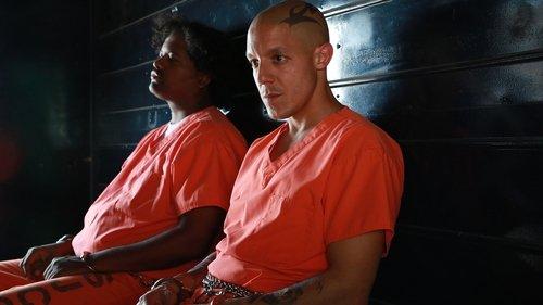 undefined Season 7 Episode 9 - What a Piece of Work Is Man