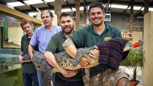 Penguins on a Plane: Great Animal Moves Season 1 Episode 2 - Episode 2