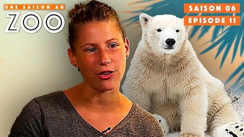 Une saison au zoo Season 6 Episode 11 - Episode 11