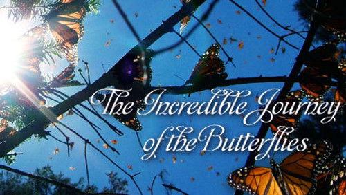 NOVA Season 36 Episode 10 - The Incredible Journey of the Butterflies