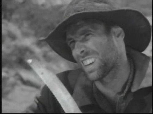 Gunsmoke Season 11 Episode 11 - South Wind