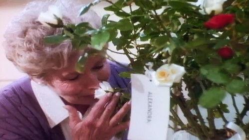 Sisters Season 1 Episode 3 - A Thousand Sprinkles