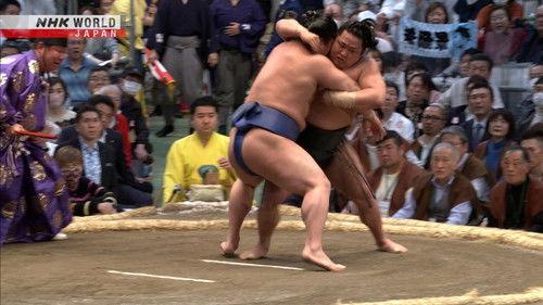 GRAND SUMO Highlights Season 16 Episode 12 - Day 12