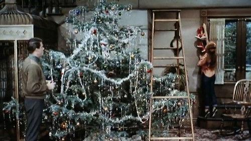 Petticoat Junction Season 4 Episode 13 - The Santa Claus Special