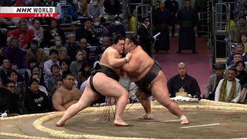 GRAND SUMO Highlights Season 20 Episode 4 - Day 4