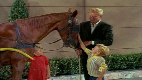 undefined Season 1 Episode 3 - The Gift Horse