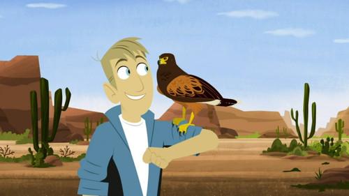 Wild Kratts Season 6 Episode 4 - Wolf Hawks