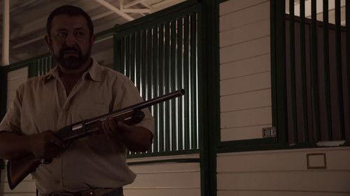 The Bridge Season 1 Episode 9 - The Beetle