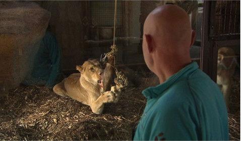 Dyrepasserne Season 4 Episode 7 - Episode 7