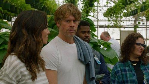 NCIS: Los Angeles Season 14 Episode 18 - Sensu Lato