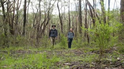 Gardening Australia Season 33 Episode 21 - Episode 21 Fish, Prostanthera, Pittwater, Mt Lofty & Hellebore