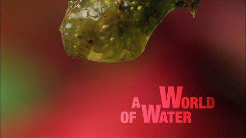 Water Life Season 1 Episode 1 - A World of Water