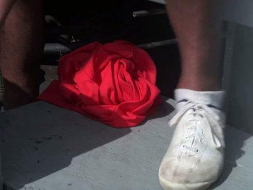 Hawaii Five-O Season 8 Episode 11 - How To Steal A Submarine