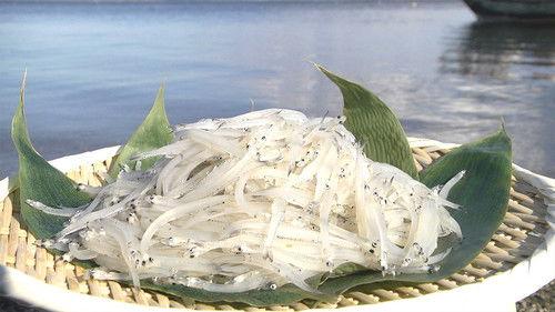 Trails to Oishii Tokyo Season 2 Episode 8 - SHIRAUO