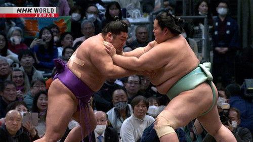 GRAND SUMO Highlights Season 22 Episode 11 - Day 11