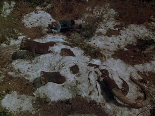 Northern Exposure Season 5 Episode 24 - Lovers and Madmen