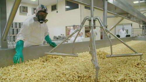 Wisconsin Foodie Season 10 Episode 7 - Deer Creek Cheese | 3 Sheeps Brewing