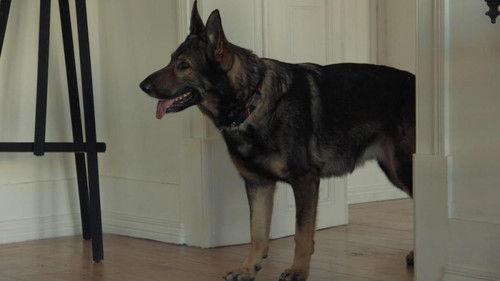 Inspetor Max Season 4 Episode 5 - Adaga de Sangue