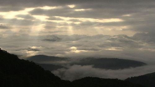 Wild Hokkaido! Season 1 Episode 11 - The Forest of Shimukappu